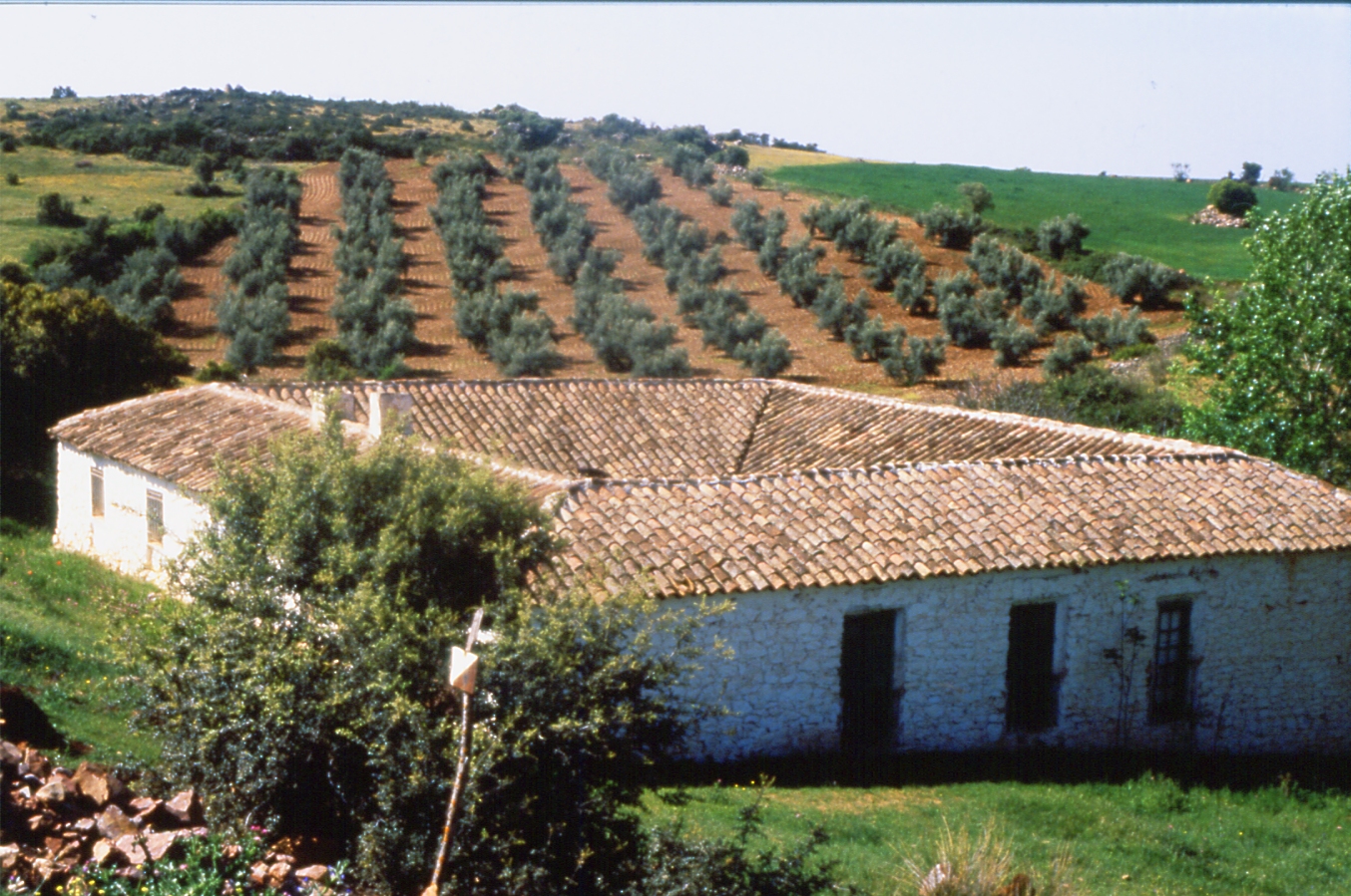 A typical farm in Sierra Morena. Photo: Wikipedia