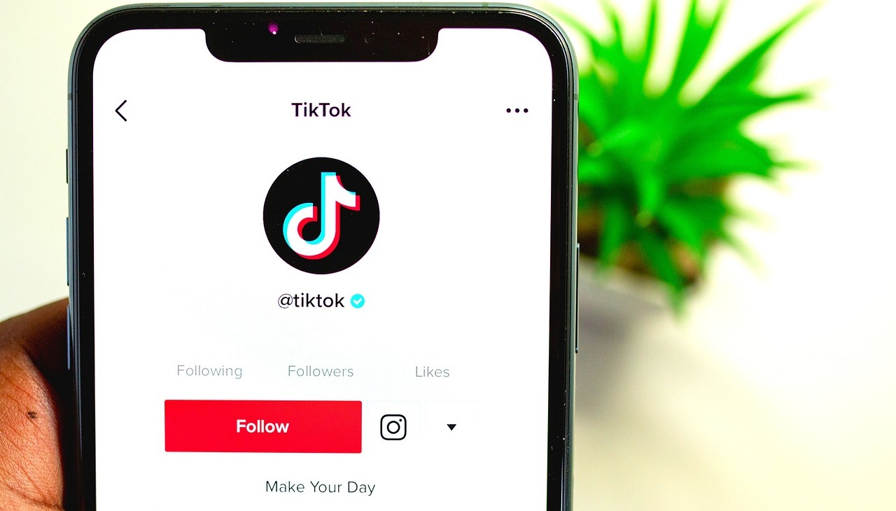 Cell phone screen displaying TikTok logo. 