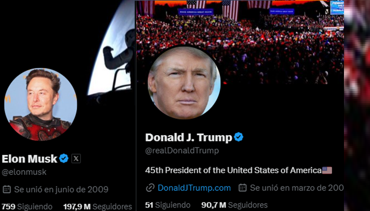 Screenshot of Elon Musk's and Donald Trump's X accounts.