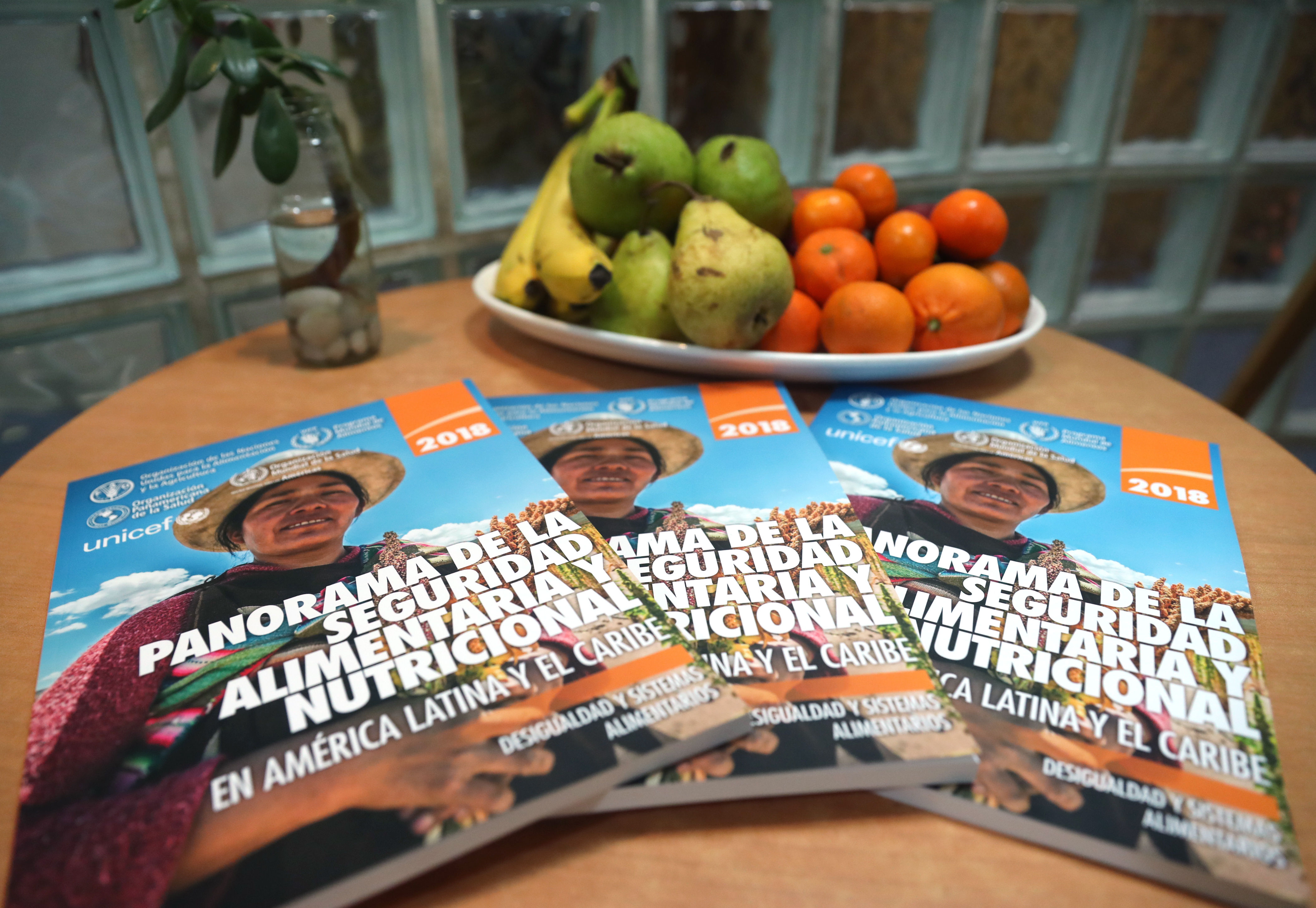 A view of several copies of a report by the UN Food and Agriculture Organization (FAO) on hunger and nutrition in Latin America and the Caribbean, Santiago, Chile, Nov. 7, 2018. EPA-EFE/Alberto Valdes
