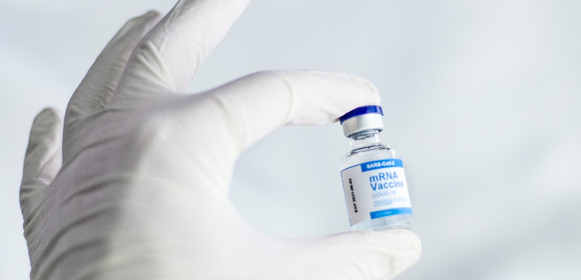 Mientras el mundo lucha por vacunar contra el COVID, los antivcunas buscan tratamientos alternativos. Foto: Pixabay