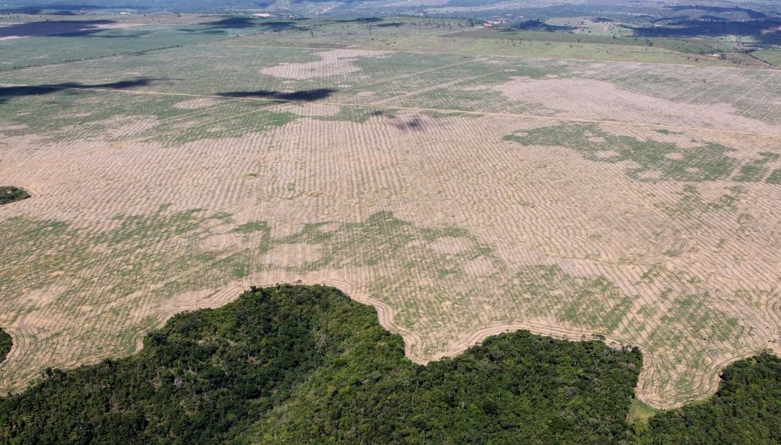 Hectáreas de tierra deforestadas en Brasil. Foto: wiki commons
