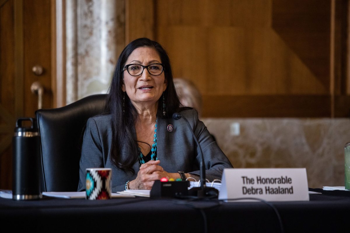 Deb Haaland made history in 2018 as one of the two first Native American women elected to Congress. Photo: Graeme Jennings/Getty Images.