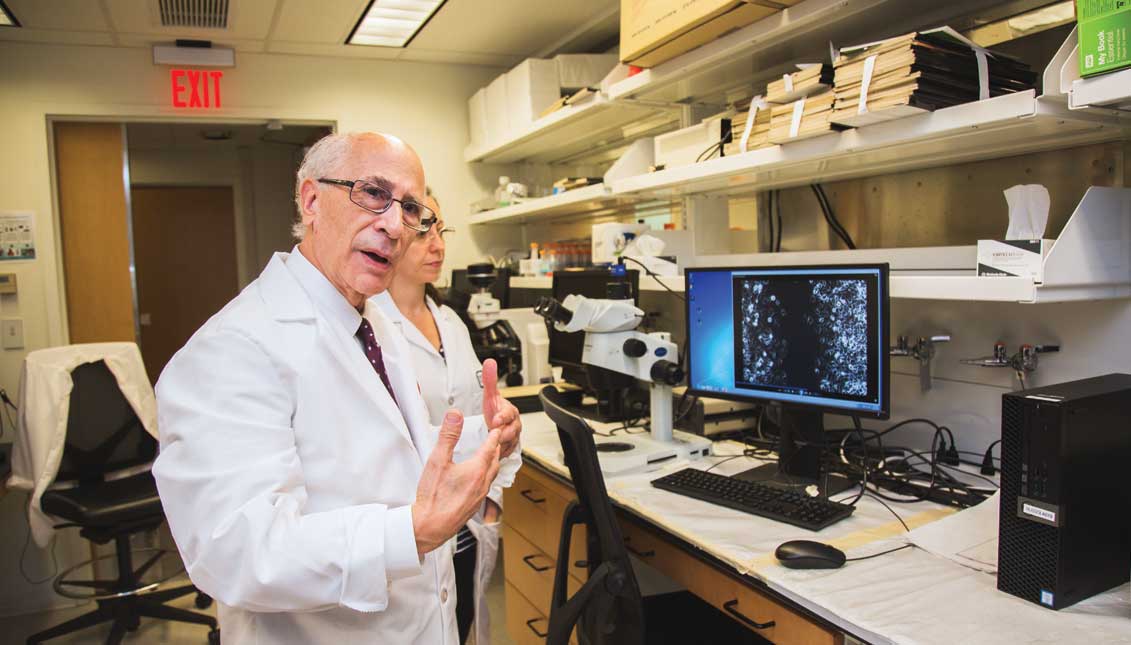 In his laboratory, Dr. Jose Russo explains how quickly cancer cells can develop. Photo: Sam Laub / AL DÍA News
