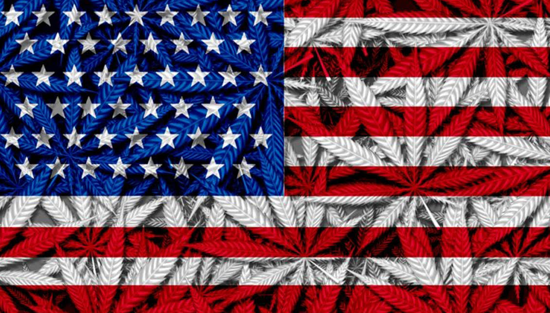 Photo: royalcbd.comaSe acerca el momento de tomar una decisión en torno a la legalización de la marihuana en EE.UU. Foto: royalcbd.com