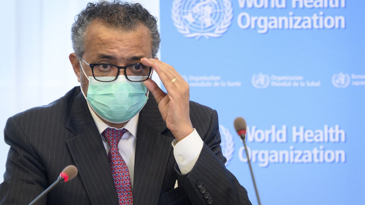WHO representatives apologize after revealing cases of sexual abuse perpetrated by 21 employees during the response to the Ebola crisis in Congo.