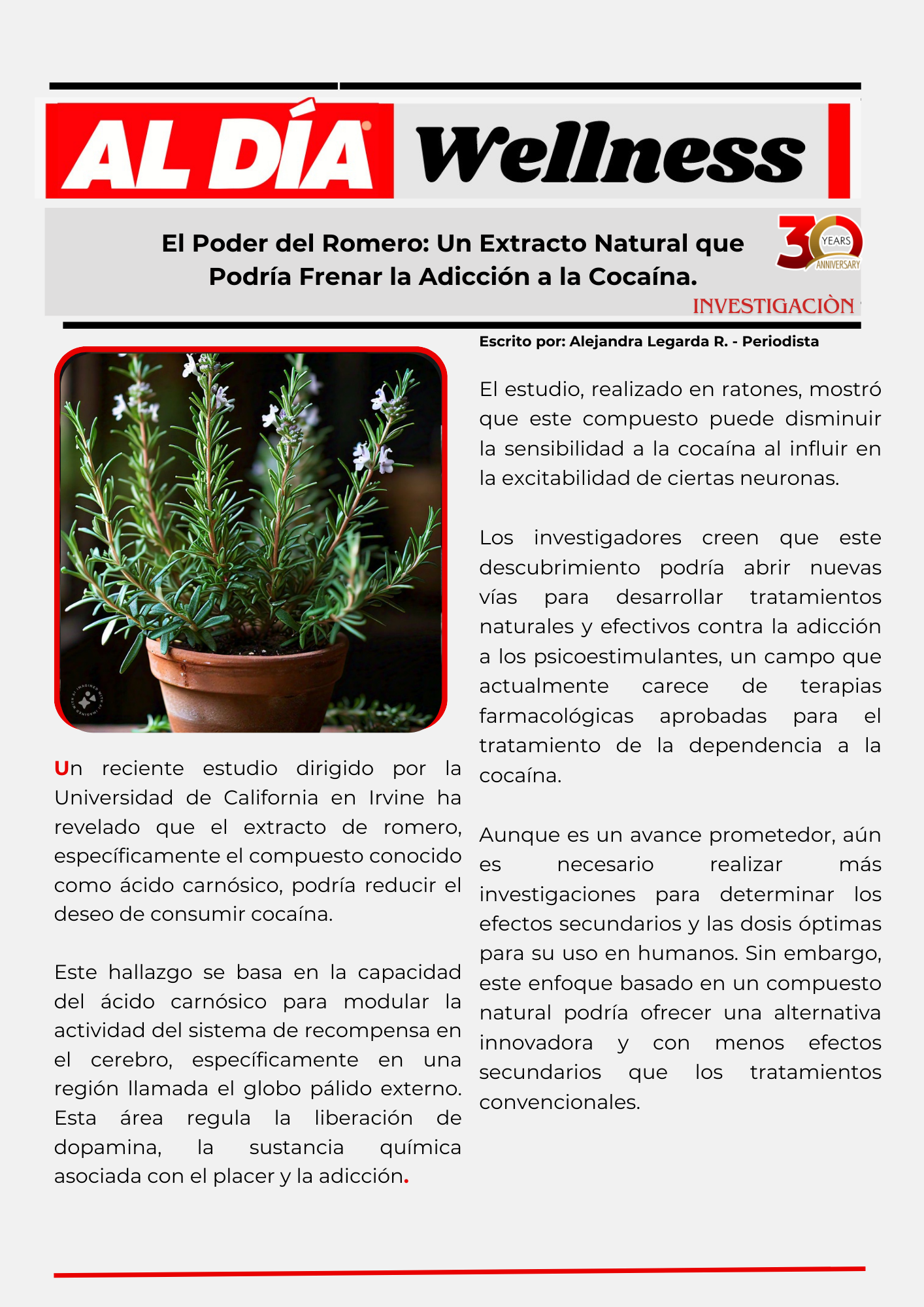 Romero y su extracto natural