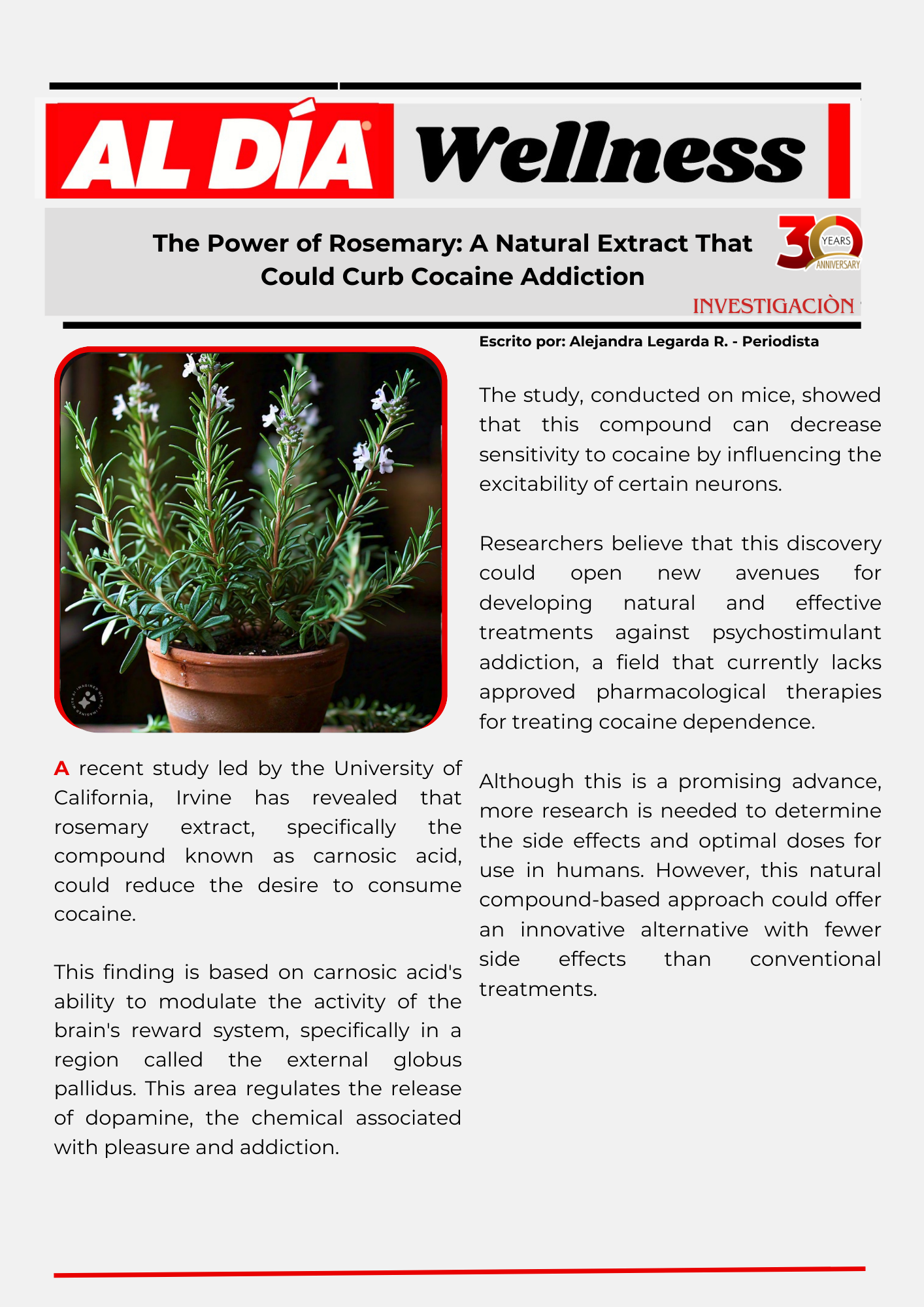 The Power of Rosemary