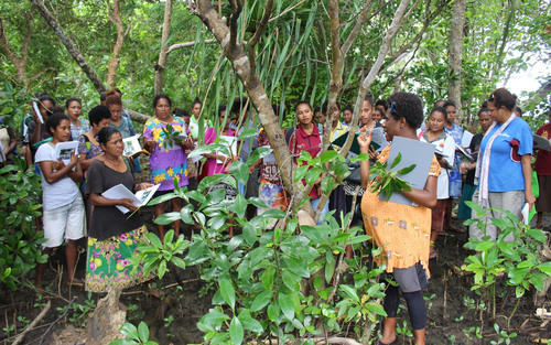 In the Coral Triangle, Mary Kay has continued to partner with TNC to support women in Papua New Guinea and Mangoro Market Meri. Photo: Mary Kay Inc.